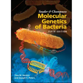 Snyder and Champness Molecular Genetics of Bacteria