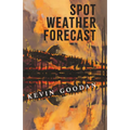 Spot Weather Forecast