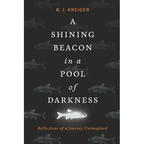 A Shining Beacon in a Pool of Darkness: Reflections of a Journey Unimagined
