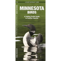 Minnesota Birds: A Folding Pocket Guide to Familiar Species