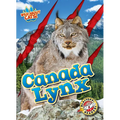 Canada Lynx