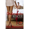 Undercover Rescue: Brotherhood Protectors World