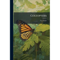 Coleoptera