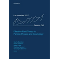 Effective Field Theory in Particle Physics and Cosmology: Lecture Notes of the Les Houches Summer School: Volume 108, July 2017