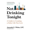 Not Drinking Tonight: A Guide to Creating a Sober Life You Love