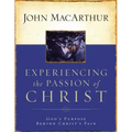 Experiencing the Passion of Christ: God's Purpose Behind Christ's Pain