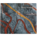 Brice Marden: Let the Painting Make You