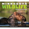 Minnesota Wildlife Impressions