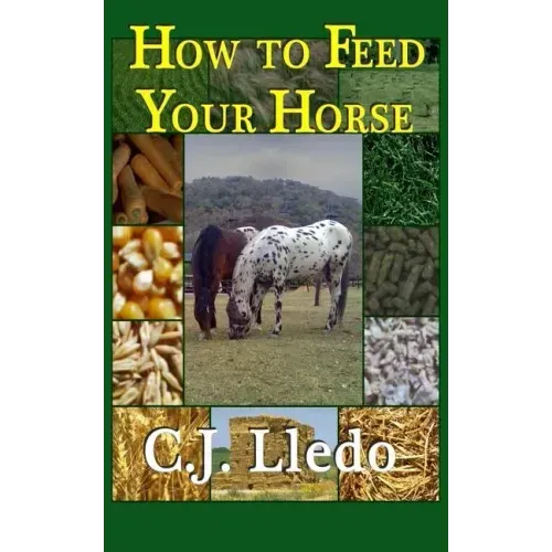 How To Feed Your Horse