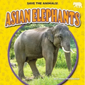 Asian Elephants