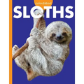 Curious about Sloths