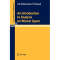An Introduction to Analysis on Wiener Space