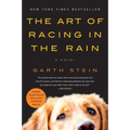 The Art of Racing in the Rain