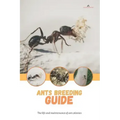 Ants breeding guide: The life and maintenance of ant colonies