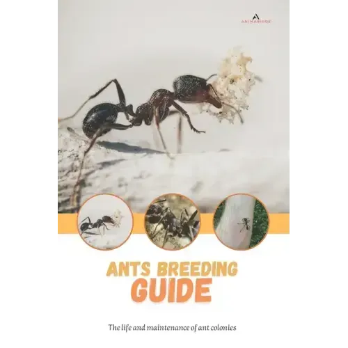 Ants breeding guide: The life and maintenance of ant colonies