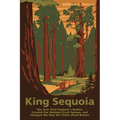King Sequoia: The Tree That Inspired a Nation, Created Our National Park System, and Changed the Way We Think about Nature