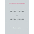 Being Aware of Being Aware
