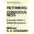 Rethinking Consciousness: A Scientific Theory of Subjective Experience