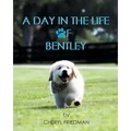 A Day in the Life of Bentley