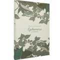 Ephemera: A Memoir