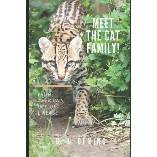 Meet the Cat Family!: Latin America's Ocelot Lineage