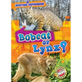 Bobcat or Lynx?