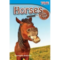 Horses Up Close