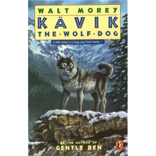 Kavik the Wolf Dog