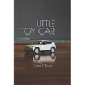 Little Toy Car
