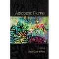 Adiabatic Flame