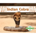 Indian Cobra