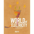 World of Electricity: Everyday Electricity for the Young Scientist: Everyday Electricity for the Young Scientist