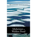Midwinter at Walden Pond