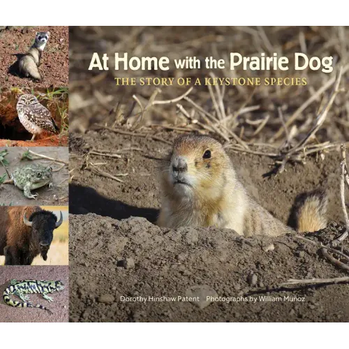 At Home with the Prairie Dog: The Story of a Keystone Species