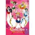 Sailor Moon: Trivia Quiz Book