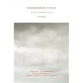 Wideawake Field