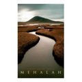 Mehalah: Gothic Novel (A Story of the Salt Marshes)