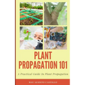 Plant Propagation 101: A Practical Guide In Plant Propagation