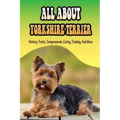 All About Yorkshire Terrier: History, Traits, Temperament, Caring, Training, And More: At What Age Can You Start Training A Yorkie Puppy?