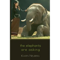 The Elephants Are Asking