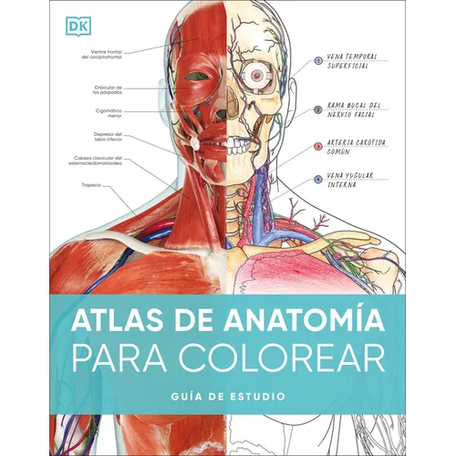 Atlas de Anatomía Para Colorear (the Human Body Coloring Book): Guía de Estudio