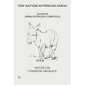 Notes on Common Animals