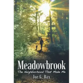 Meadowbrook: The Neighborhood That Made Me
