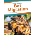 Bat Migration