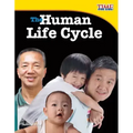 The Human Life Cycle