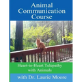 Animal Communication Course: Heart-to-Heart Telepathy with Animals