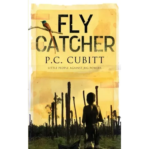 Fly Catcher: Longlisted for the Bridport First Novel Prize