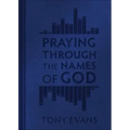 Praying Through the Names of God (Milano Softone)