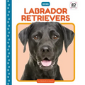 Labrador Retrievers