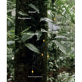 Daniel Steegmann Mangran�: A Leaf-Shaped Animal Draws the Hand